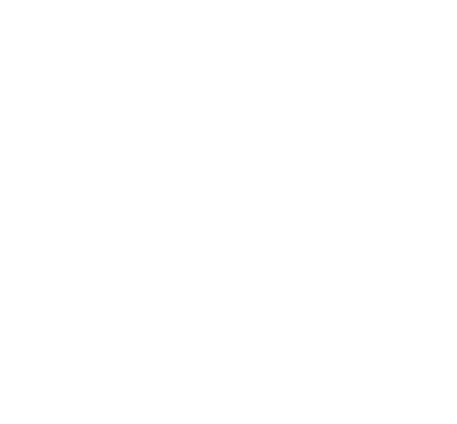 Taubenhilfe Magdeburg - Logo
